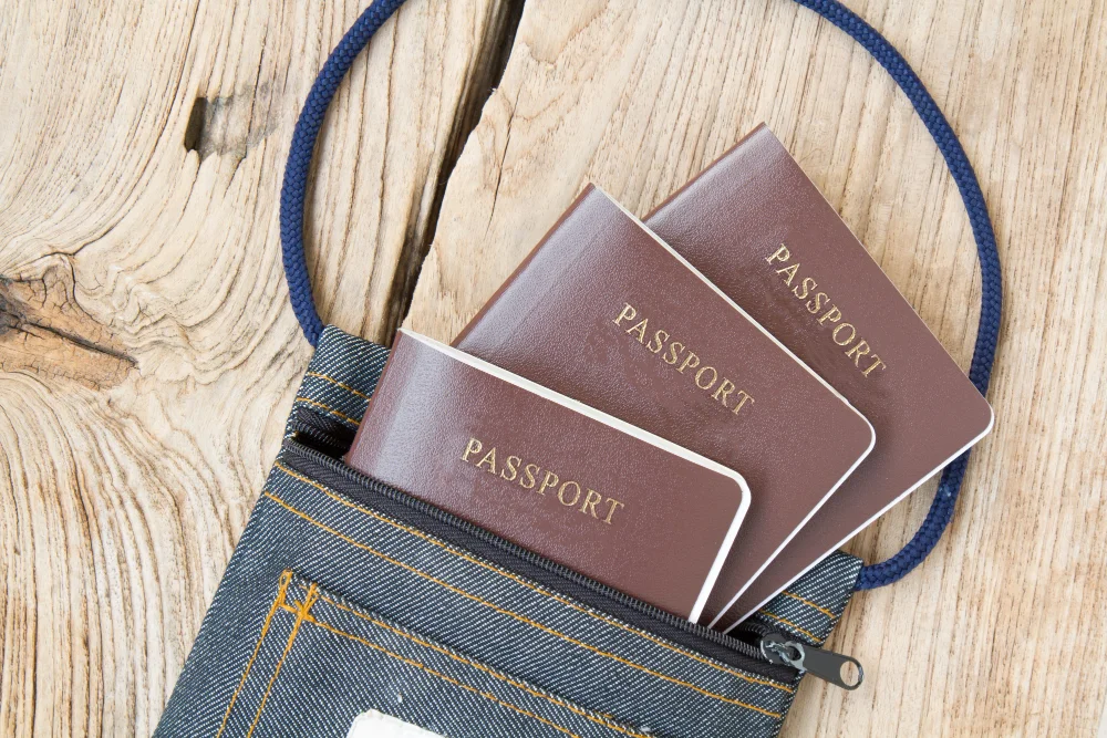 Second Passport